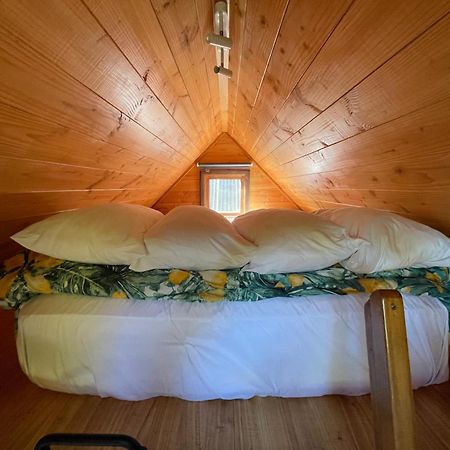 Studio Or Cabin On Whitby Nelson Luaran gambar
